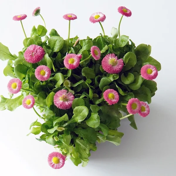 天博体育捕鱼游戏